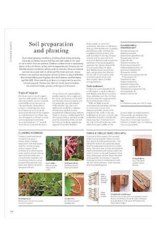 RHS Encyclopedia of Gardening - фото 6