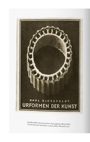 Karl Blossfeldt. The Complete Published Work (Bibliotheca Universalis) - фото 2