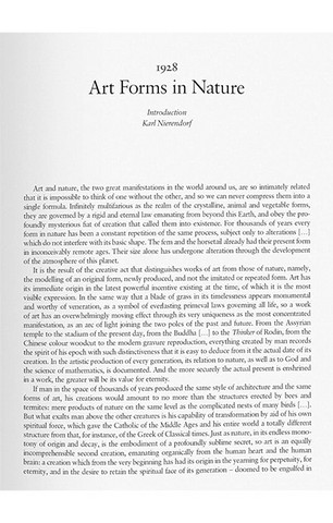 Karl Blossfeldt. The Complete Published Work (Bibliotheca Universalis) - фото 3