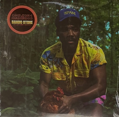 Childish Gambino – Bando Stone And The New World (2LP, Vinyl) - фото 1