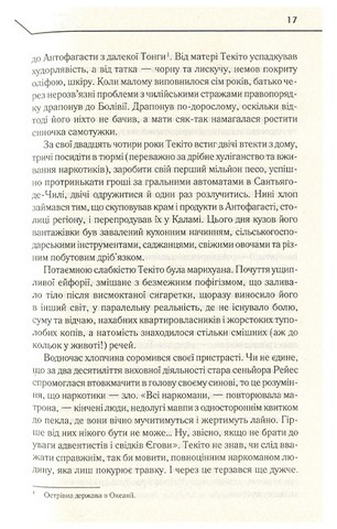 Бот. Атакамська криза - фото 11