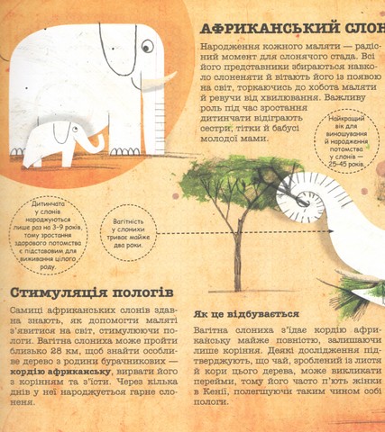 Лікарі у світі тварин - фото 3