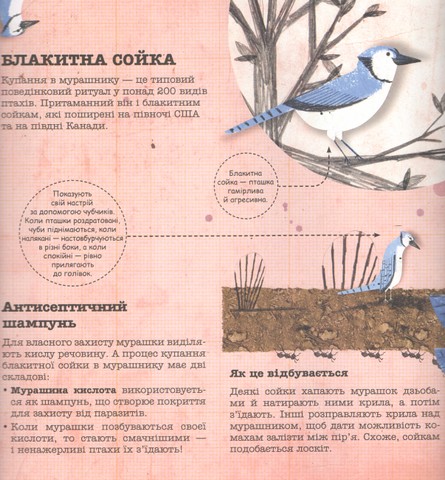 Лікарі у світі тварин - фото 5