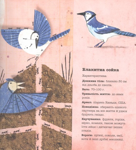 Лікарі у світі тварин - фото 6