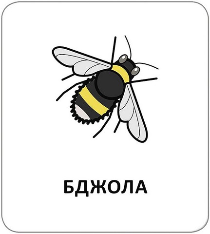 Картки з піктограмами. Тварини - фото 3