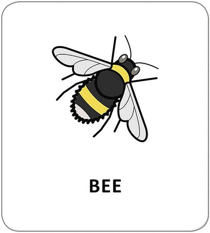 Картки з піктограмами. Тварини - фото 4