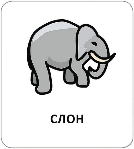 Картки з піктограмами. Тварини - фото 7