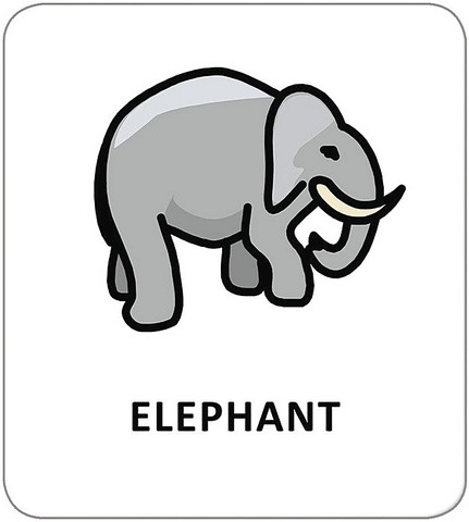 Картки з піктограмами. Тварини - фото 8