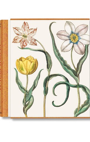 Basilius Besler. The Garden at Eichstatt (в 3-х томах) - фото 1