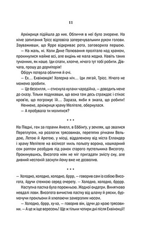 Відьмак. Вежа Ластівки. Книга 6 - фото 6