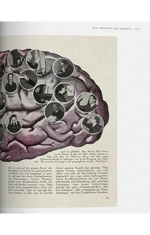 Fritz Kahn. Infographics Pioneer - фото 13