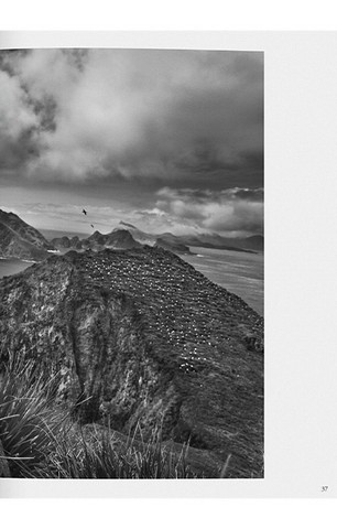 Sebastiao Salgado. Genesis - фото 9