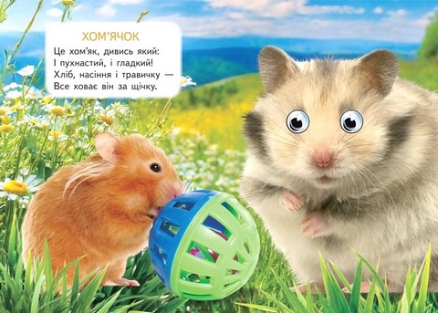 Хатні улюбленці - фото 5