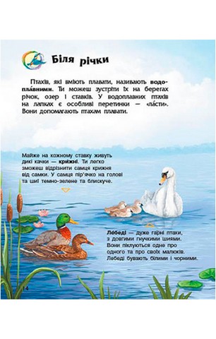 Птахи. Енциклопедія дошкільника - фото 5