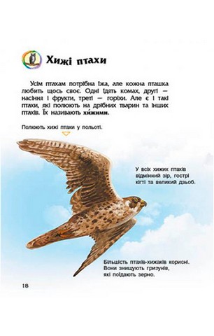 Птахи. Енциклопедія дошкільника - фото 7