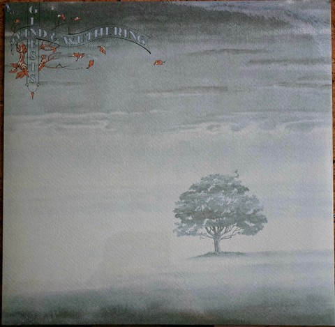 Genesis – Wind & Wuthering (LP, Reissue, Vinyl) - фото 1