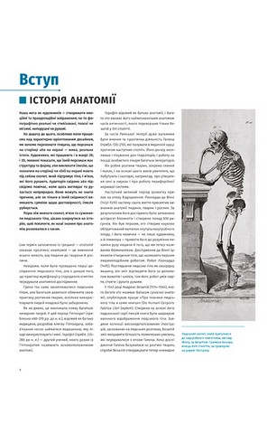 Анатомія для художників. Наочний посібник із зображення людського тіла - фото 4