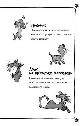 Детективи з вусами. Книга 1. Хто викрав короля кухні? - фото 3