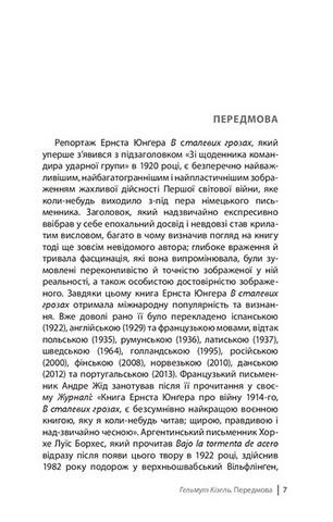 В сталевих грозах - фото 3