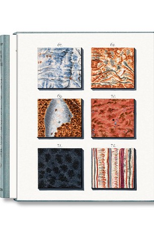 Jan Christiaan Sepp. The Book of Marble - фото 1