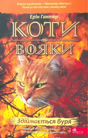 Коти-вояки. Книга 4. Здіймається буря (мяка обкладинка) - фото 1