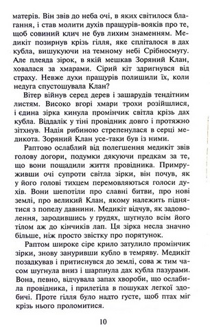 Коти-вояки. Книга 4. Здіймається буря (мяка обкладинка) - фото 8
