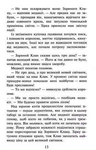 Коти-вояки. Книга 4. Здіймається буря (мяка обкладинка) - фото 11
