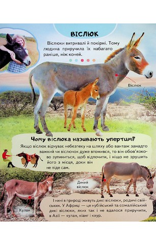 Енциклопедія Ферма. Унікальні факти, цікава інформація про домашніх тварин - фото 7