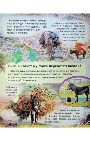Енциклопедія Ферма. Унікальні факти, цікава інформація про домашніх тварин - фото 8