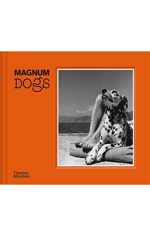 Magnum Dogs