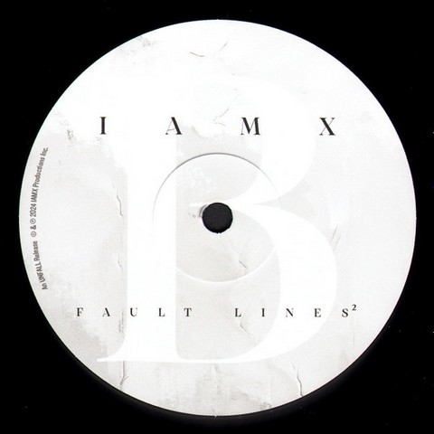 IAMX – Fault Lines (LP, Album, Vinyl) - фото 4