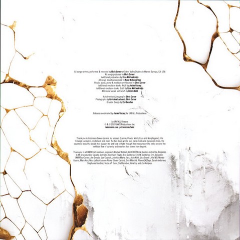 IAMX – Fault Lines (LP, Album, Vinyl) - фото 6