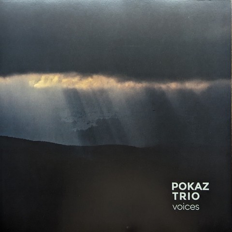 Pokaz Trio – Voices (LP, Album, Vinyl) - фото 1