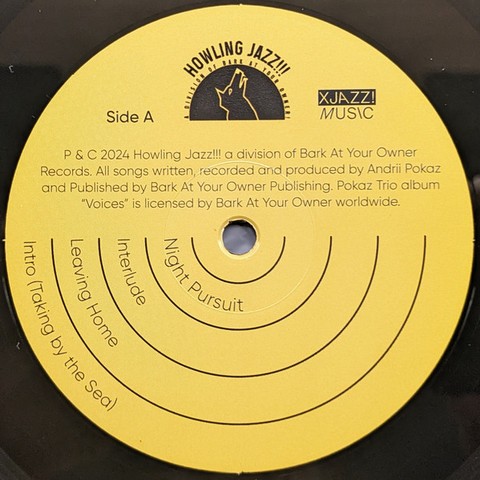 Pokaz Trio – Voices (LP, Album, Vinyl) - фото 4