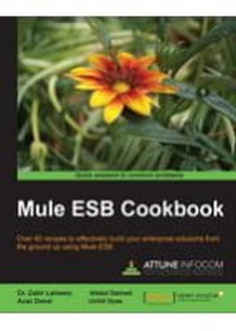 Mule ESB Cookbook