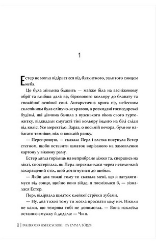 Чорнило. Кров. Сестра. Книжник - фото 4