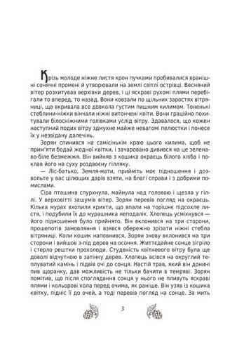За межею. Звершення - фото 2