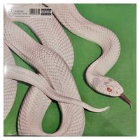 Deftones – Private Music (LP, Album, Clear)