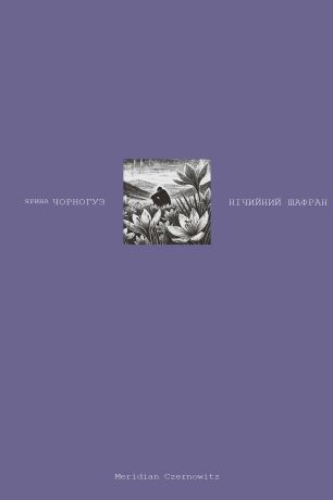 %D0%9D%D1%96%D1%87%D0%B8%D0%B9%D0%BD%D0%B8%D0%B9+%D1%88%D0%B0%D1%84%D1%80%D0%B0%D0%BD+%28%D0%95%D0%BB%D0%B5%D0%BA%D1%82%D1%80%D0%BE%D0%BD%D0%BD%D0%B0+%D0%BA%D0%BD%D0%B8%D0%B3%D0%B0%29 - фото {NUM}