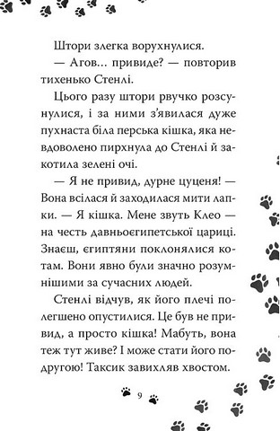 Такса. Санта - фото 5