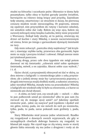 Janko muzykant - фото 6
