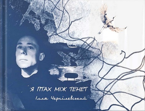 Я птах між тенет
