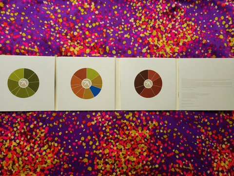 Aphex Twin – Selected Ambient Works Volume II (3CD, Album, Reissue, Remastered, Expanded Edition) - фото 3