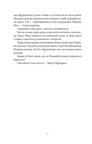 Забутий мотив - фото 4