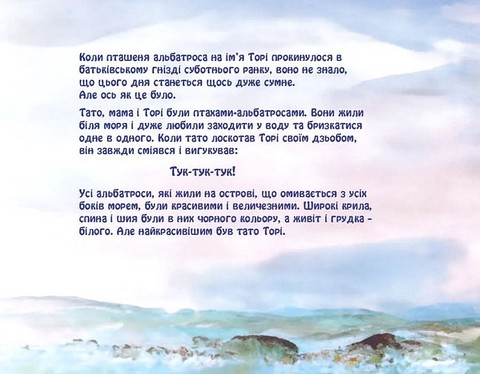 Кошик скарбів Торі - фото 2