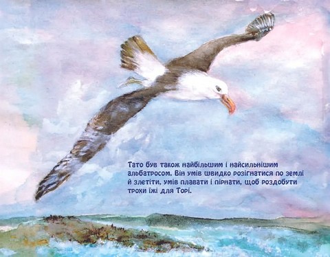 Кошик скарбів Торі - фото 3