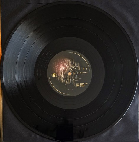 Paradise Lost – Ascension (2LP, Album) - фото 7