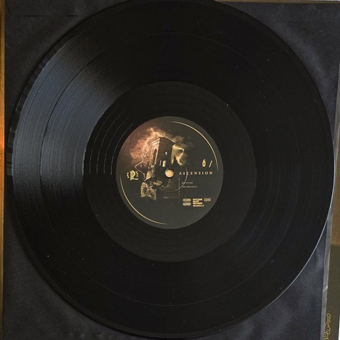 Paradise Lost – Ascension (2LP, Album) - фото 8