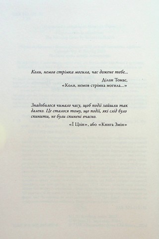 Стрімка могила - фото 2