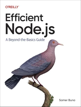 Efficient Node.js: A Beyond-the-Basics Guide 1st Edition